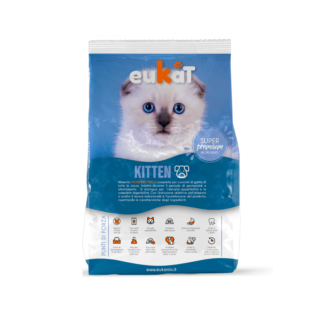 Kitten | 800gr
