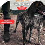 Full Power