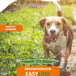 Mantenimento Easy Line