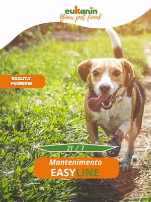 Mantenimento Easy Line