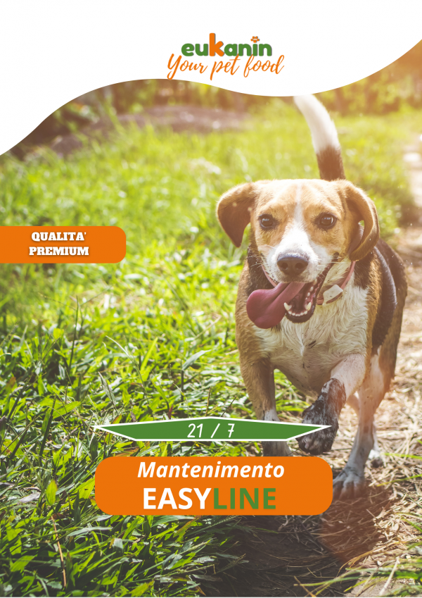 Mantenimento Easy Line