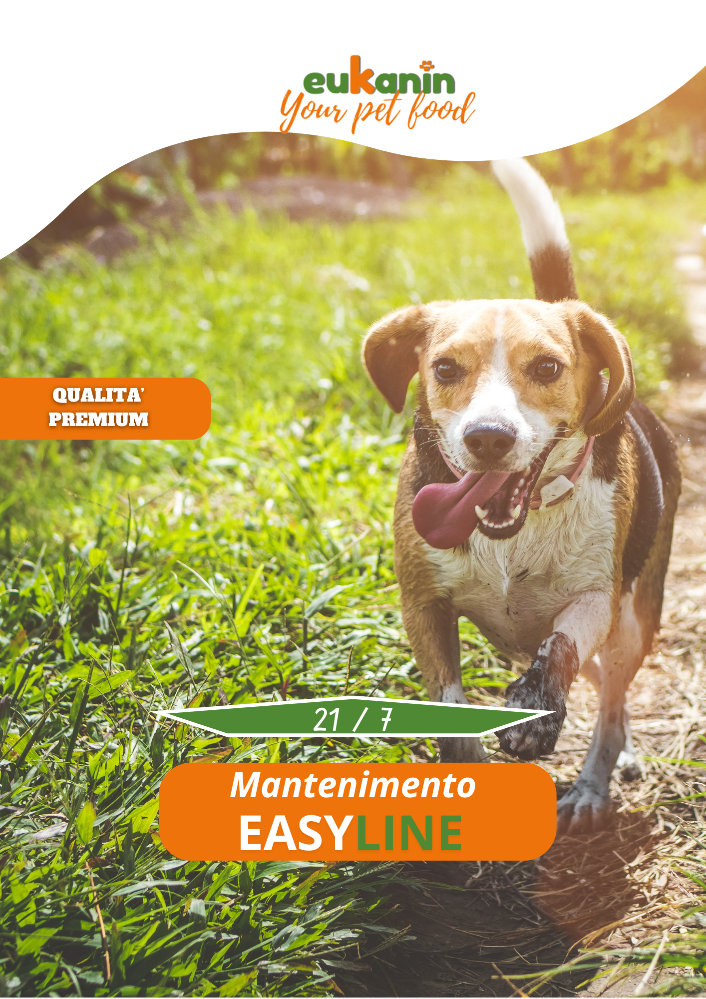 Mantenimento Easy Line