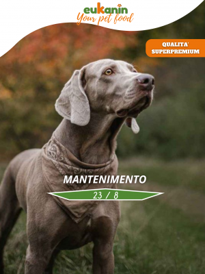Mantenimento 23/8