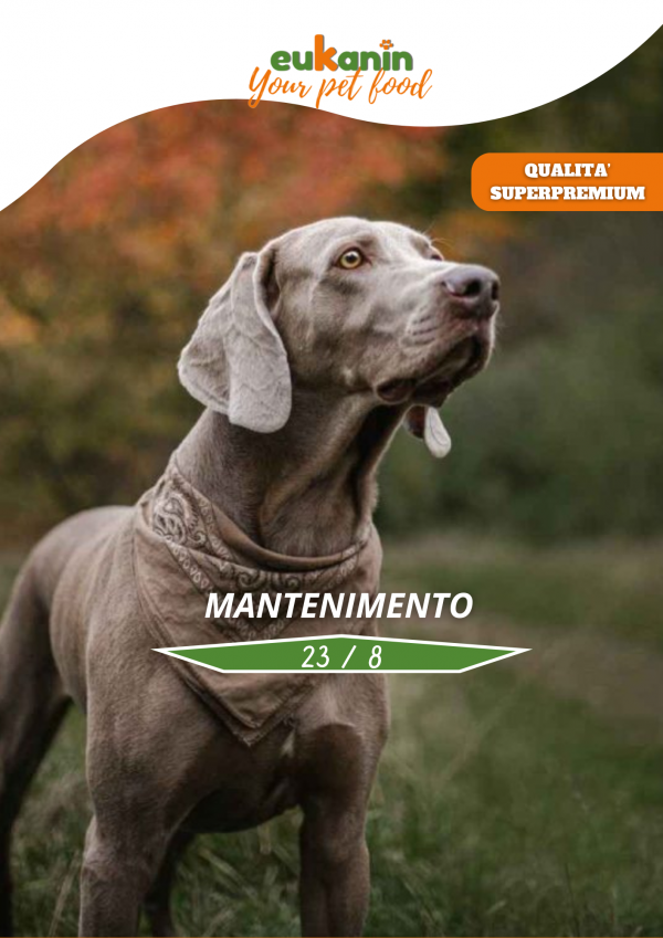 Mantenimento 23/8