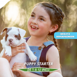 Puppy Starter